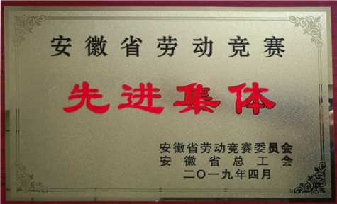 安徽三亿体育地质基础工程公司荣获省劳动竞赛先进集体